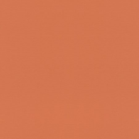 687569 Обои Rasch (1*12) 10,05x0,53 винил на флизелине