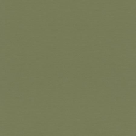 687538 Обои Rasch (1*12) 10,05x0,53 винил на флизелине