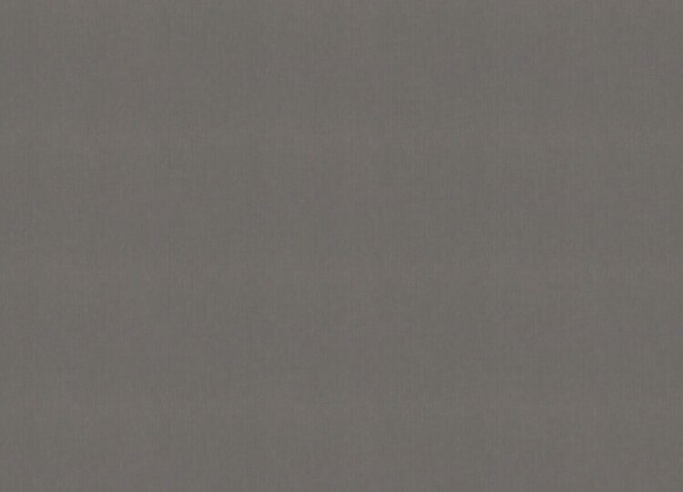 990416 Обои Rasch (Unitex) (1*6) 10,05x1,06 винил на флизелине