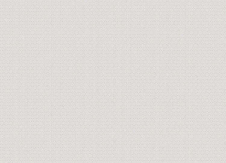 ARTS3 001/1  Обои Artsimple (Mozart) (1*6) 10,05x1,00 флизелин